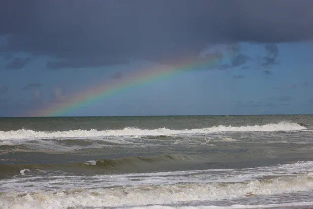 Regenbogen