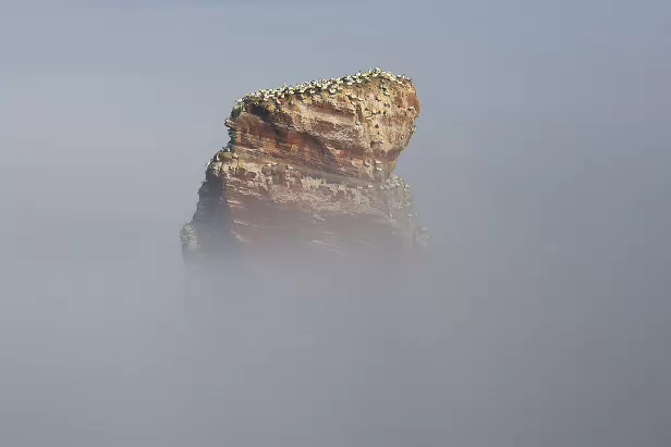 Lange Anna bei Nebel