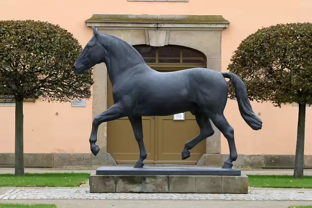 Sächsisches Landgestüt Moritzburg